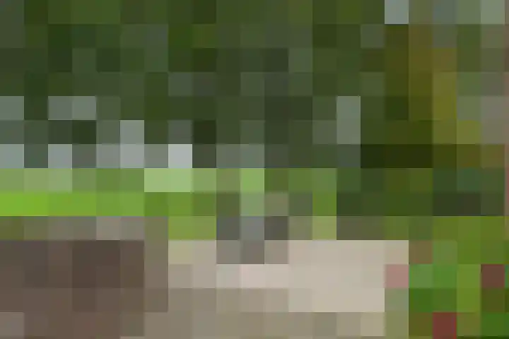 Oude Schaarsestraat 1 Bergharen thumbnail 53