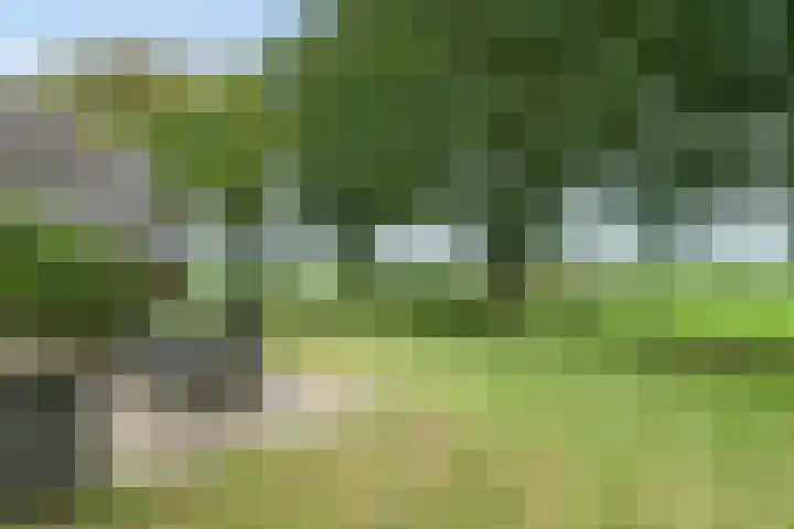 Oude Schaarsestraat 1 Bergharen thumbnail 54