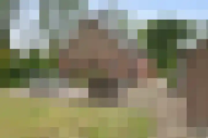 Oude Schaarsestraat 1 Bergharen thumbnail 55