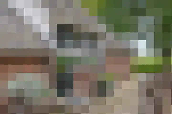 Oude Schaarsestraat 1 Bergharen thumbnail 58