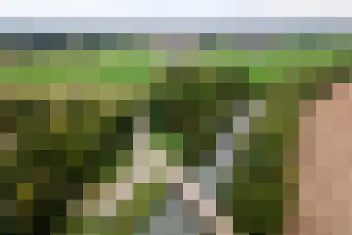 Oude Schaarsestraat 1 Bergharen thumbnail 63