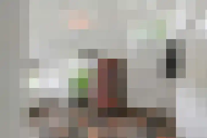 Oude Schaarsestraat 1 Bergharen thumbnail 8