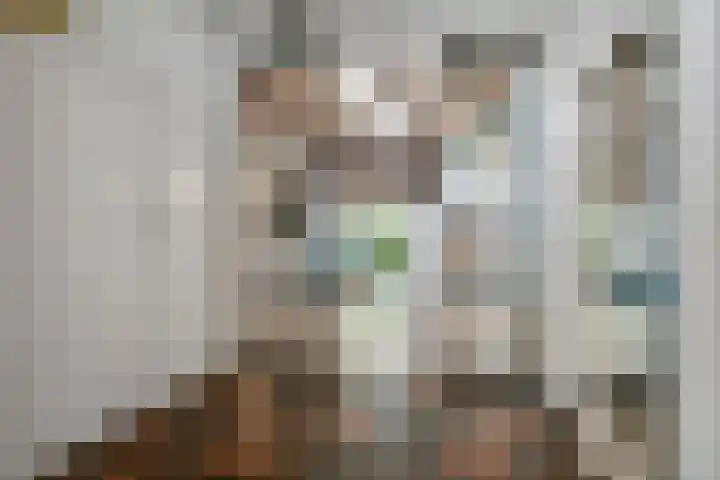 Oude Schaarsestraat 1 Bergharen thumbnail 9