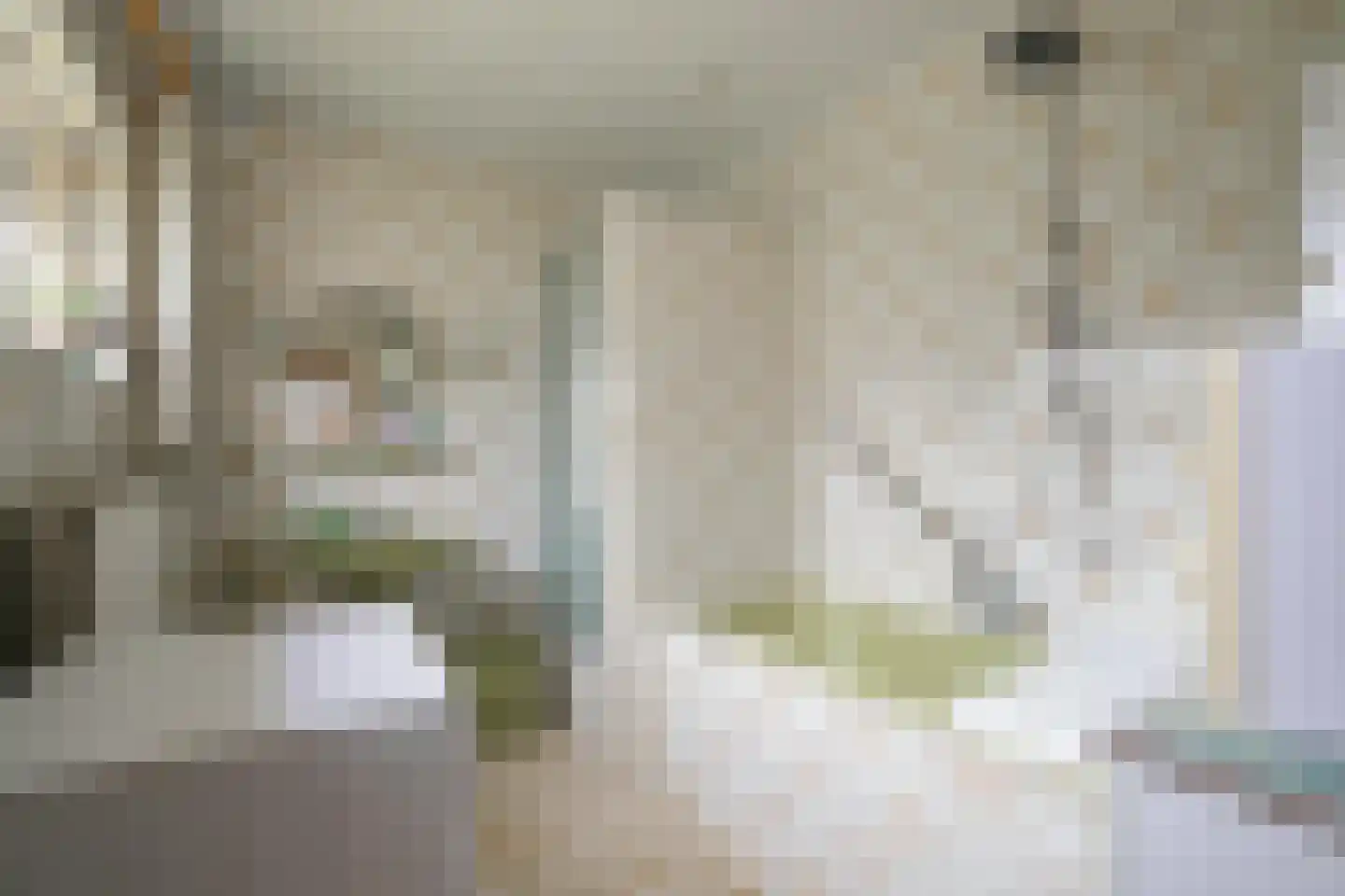 Oude Schachtstraat 5 Kerkrade thumbnail 10