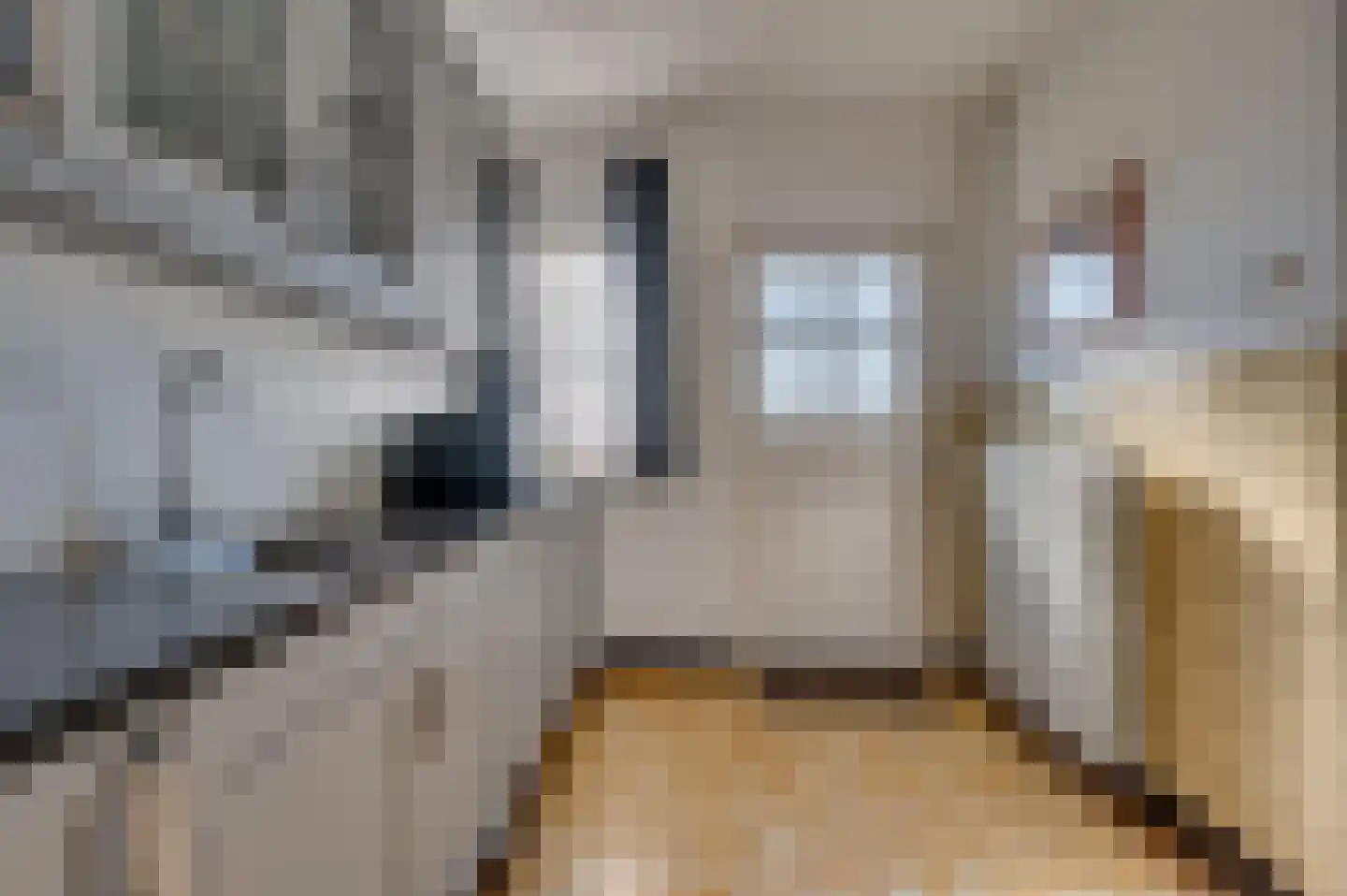 Oude Schandeloseweg 11 Velden thumbnail 11