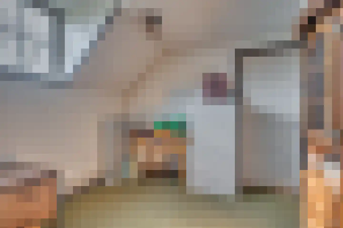 Oude Schandeloseweg 11 Velden thumbnail 26