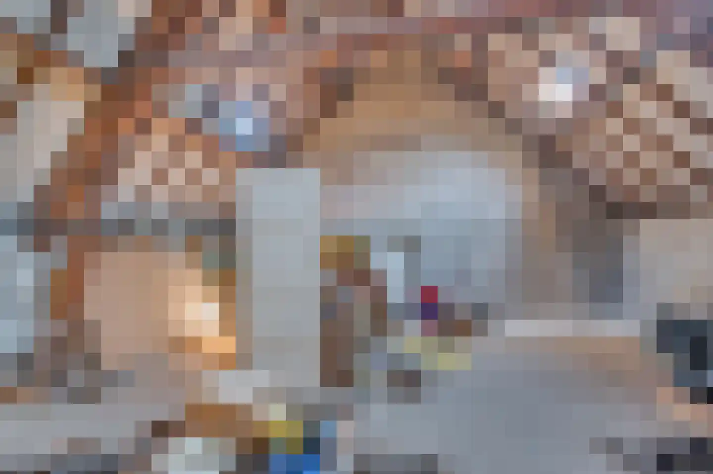 Oude Schandeloseweg 11 Velden thumbnail 27