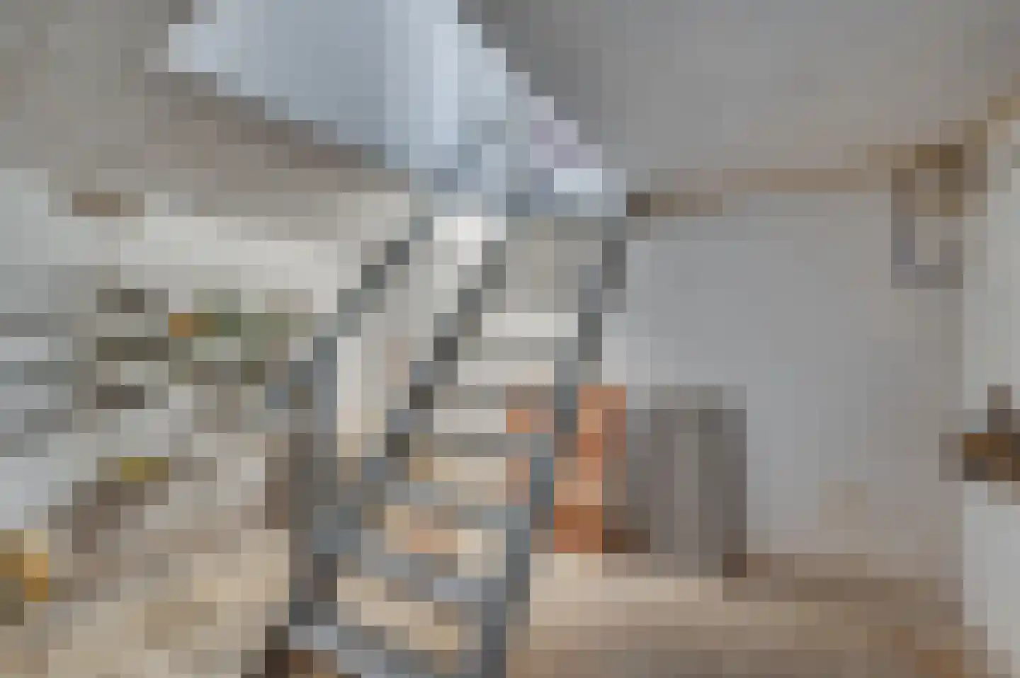 Oude Schandeloseweg 11 Velden thumbnail 28
