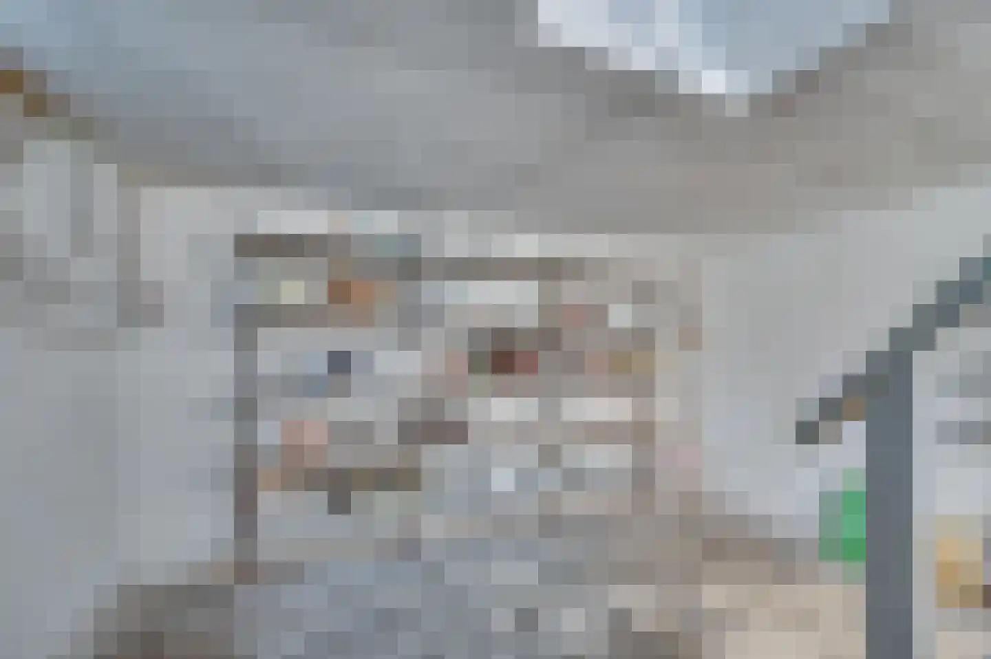 Oude Schandeloseweg 11 Velden thumbnail 29