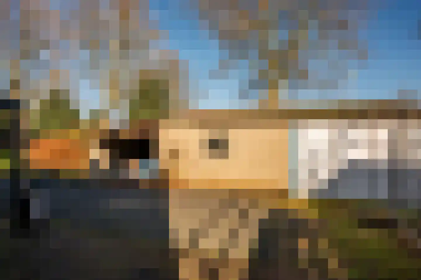 Oude Schandeloseweg 11 Velden thumbnail 35