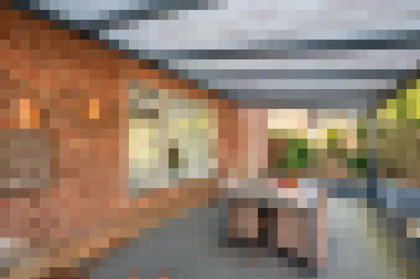 Oude Schandeloseweg 11 Velden thumbnail 36