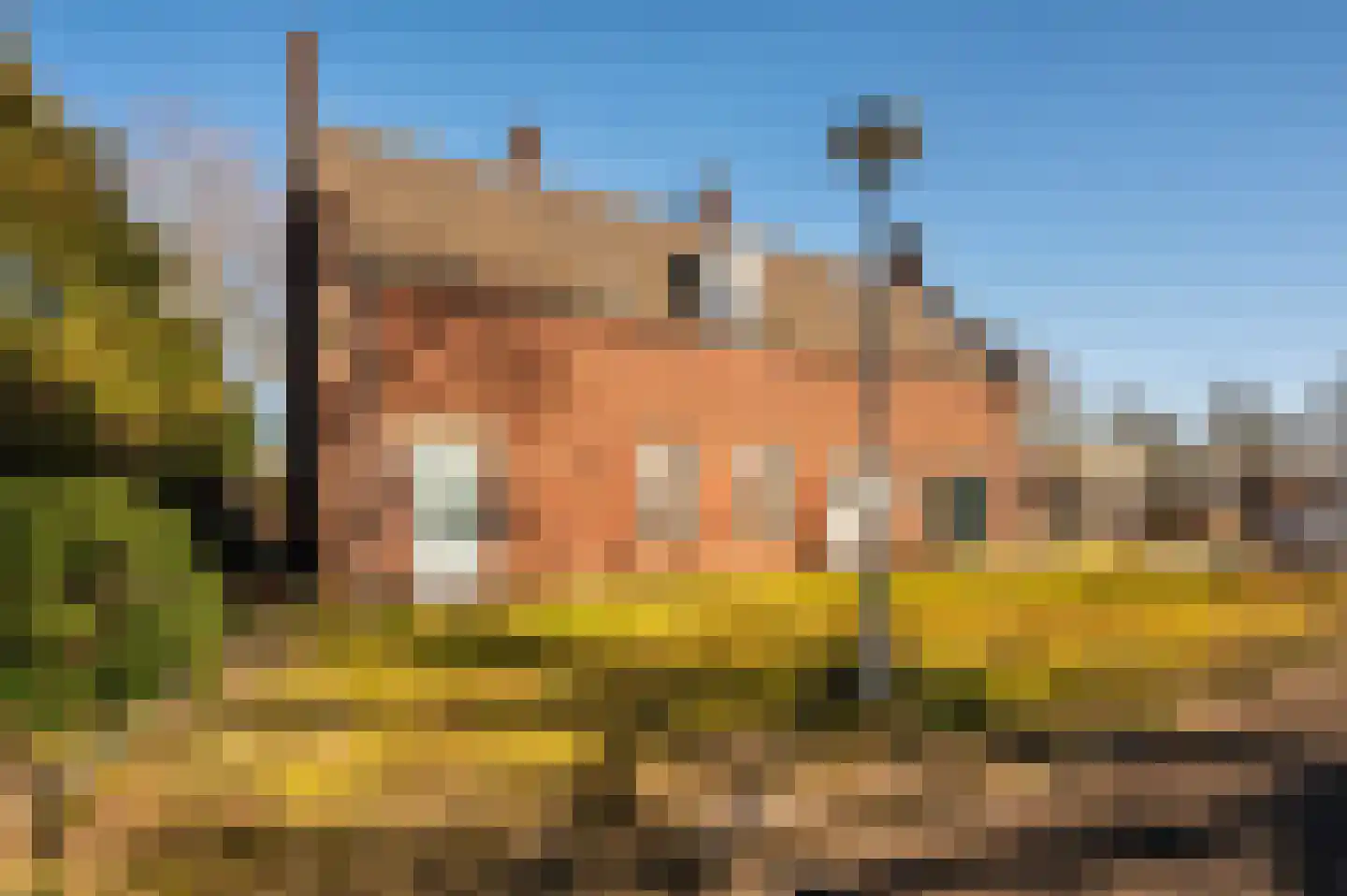 Oude Schandeloseweg 11 Velden thumbnail 38