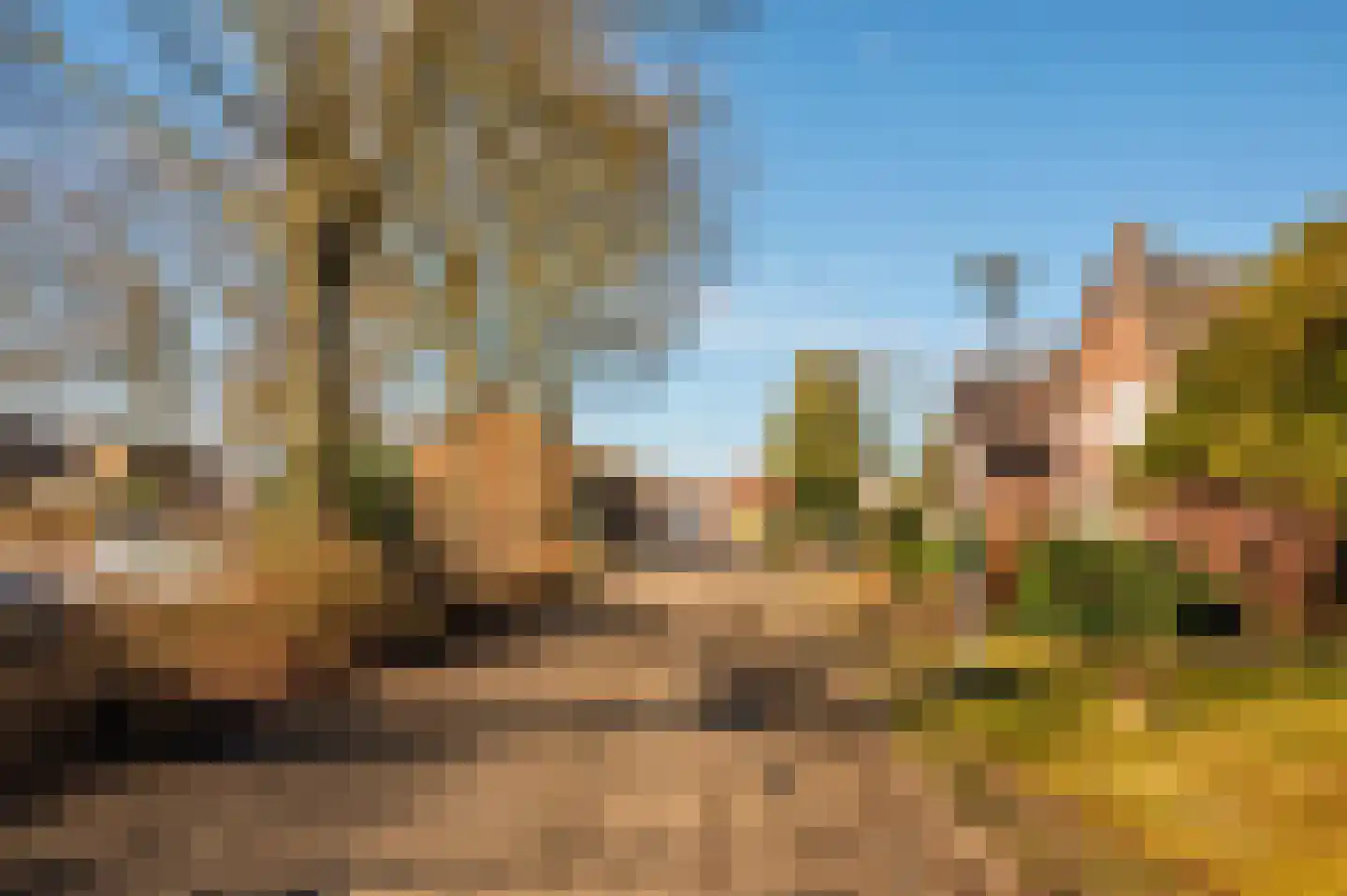 Oude Schandeloseweg 11 Velden thumbnail 41