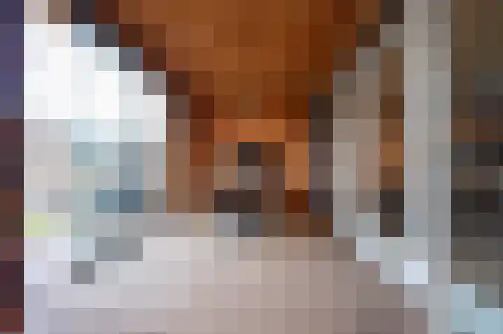 Oude School 2 Liessel thumbnail 18