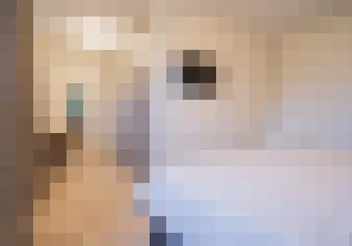 Oude School 2 Liessel thumbnail 26