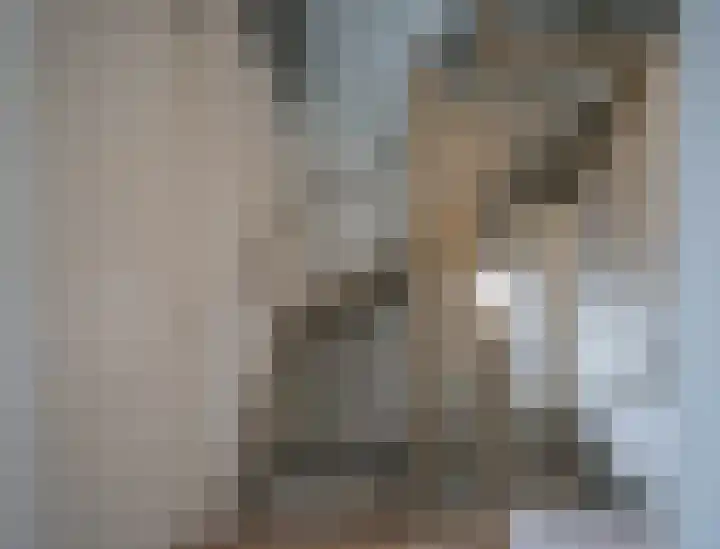 Oude School 2 Liessel thumbnail 36