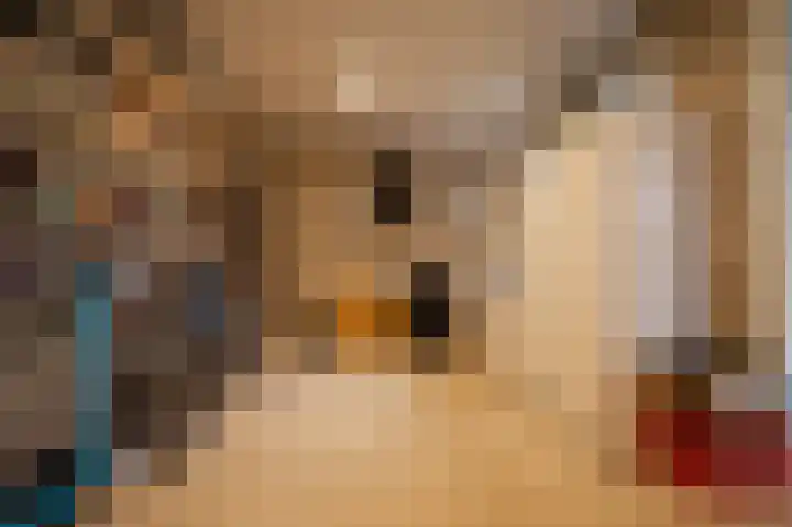 Oude School 2 Liessel thumbnail 42