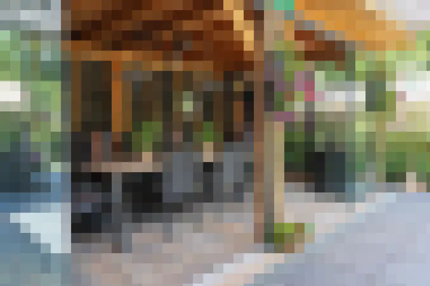 Oude Schoolpad 3 Wons thumbnail 50