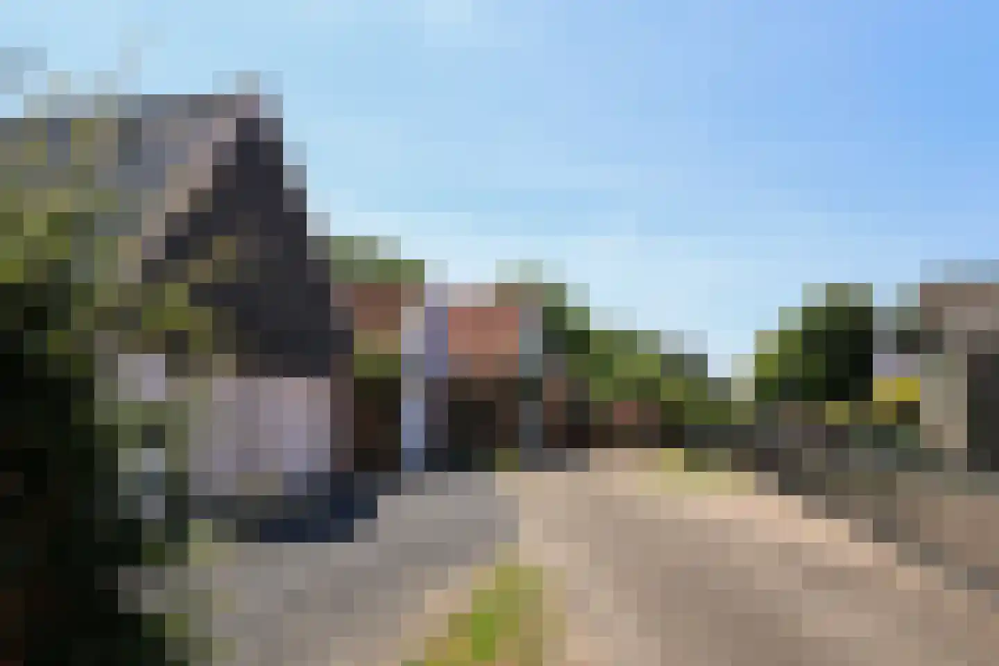 Oude Schoolpad 3 Wons thumbnail 56