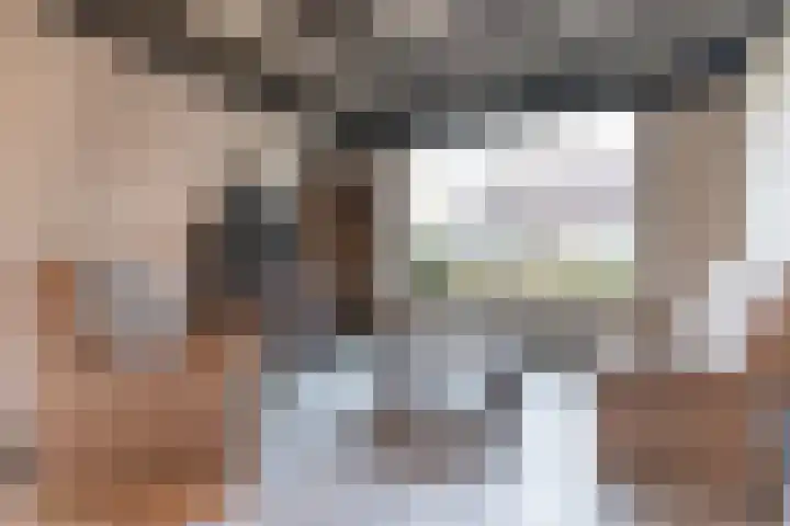 Oude Schoolstraat 10 Vessem thumbnail 11