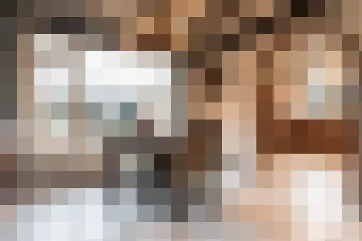 Oude Schoolstraat 10 Vessem thumbnail 15