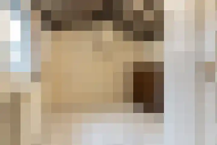 Oude Schoolstraat 10 Vessem thumbnail 26