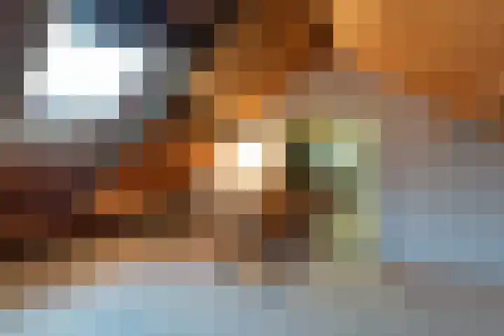 Oude Schoolstraat 10 Vessem thumbnail 40