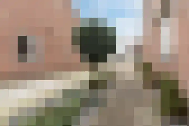 Oude Schoolstraat 10 Vessem thumbnail 52
