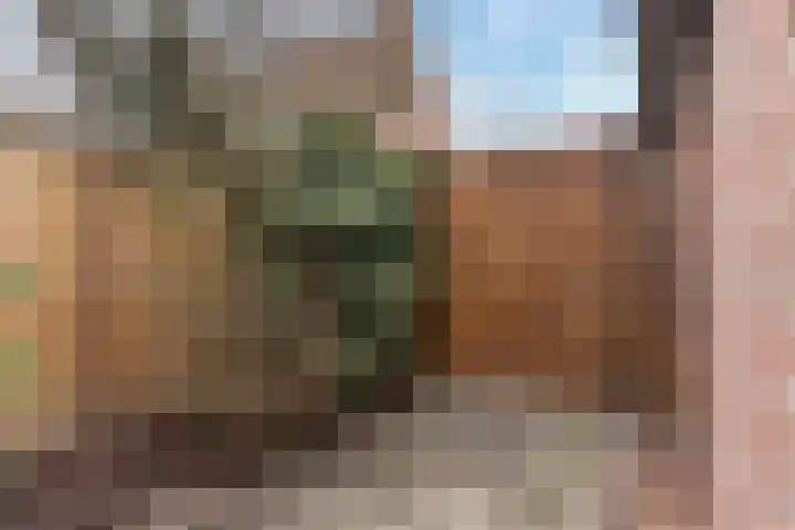 Oude Schoolstraat 10 Vessem thumbnail 53