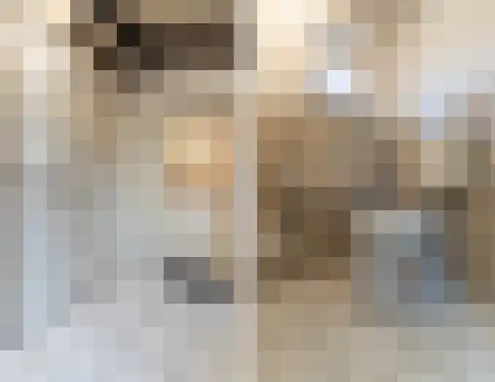Oude Schoolstraat 10 Vessem thumbnail 9