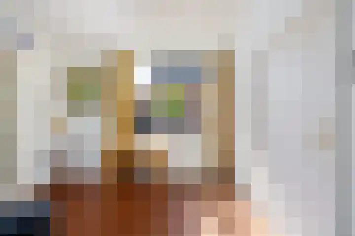 Oude Schoolstraat 8 Hedikhuizen thumbnail 22