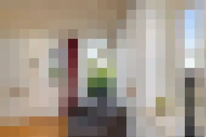 Oude Schoolstraat 8 Hedikhuizen thumbnail 35