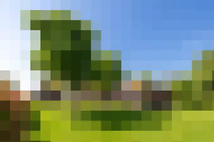 Oude Schoolstraat 8 Hedikhuizen thumbnail 6