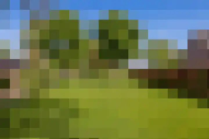 Oude Schoolstraat 8 Hedikhuizen thumbnail 64