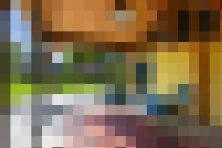 Oude Schoolstraat 8 Hedikhuizen thumbnail 69