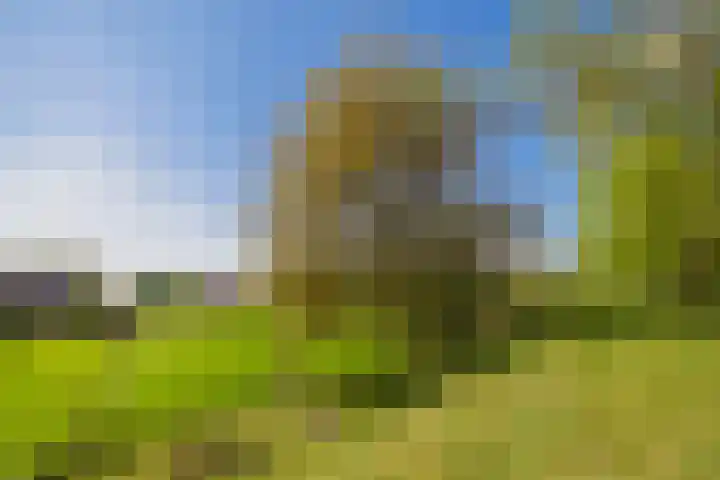 Oude Schoolstraat 8 Hedikhuizen thumbnail 81