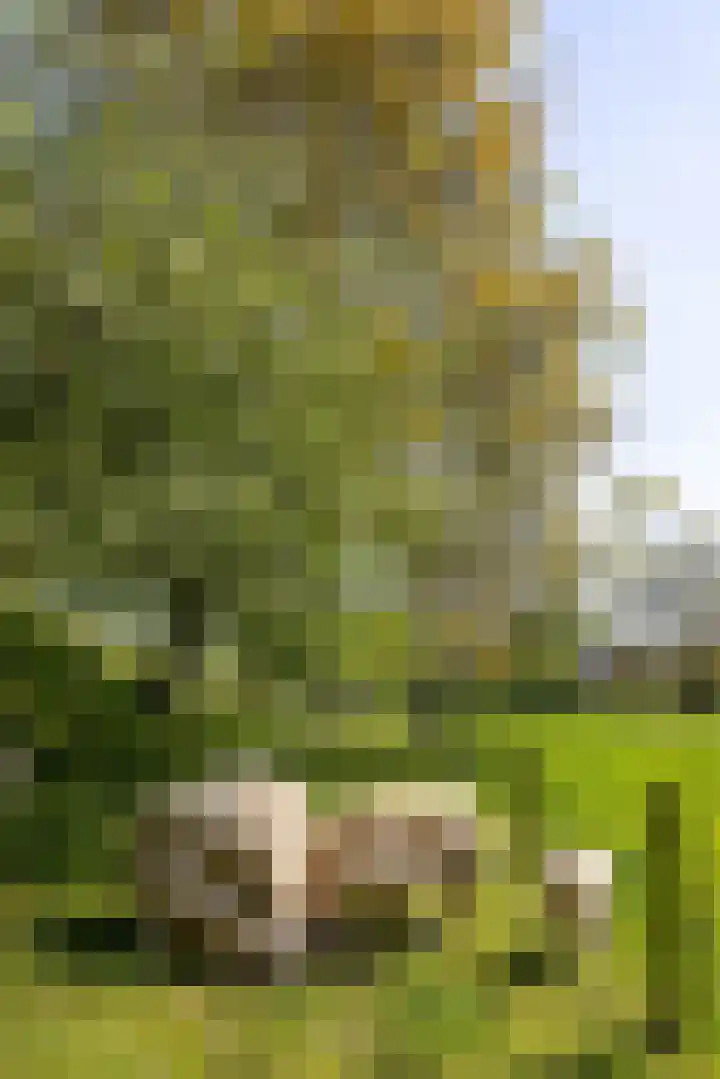 Oude Schoolstraat 8 Hedikhuizen thumbnail 83