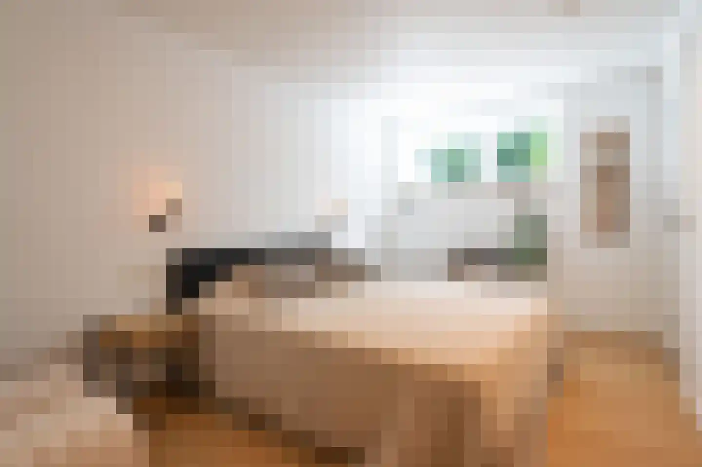 Oude Schulpweg 20 Z Egmond-Binnen thumbnail 10