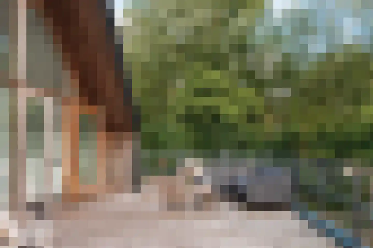 Oude Schulpweg 20 Z Egmond-Binnen thumbnail 14
