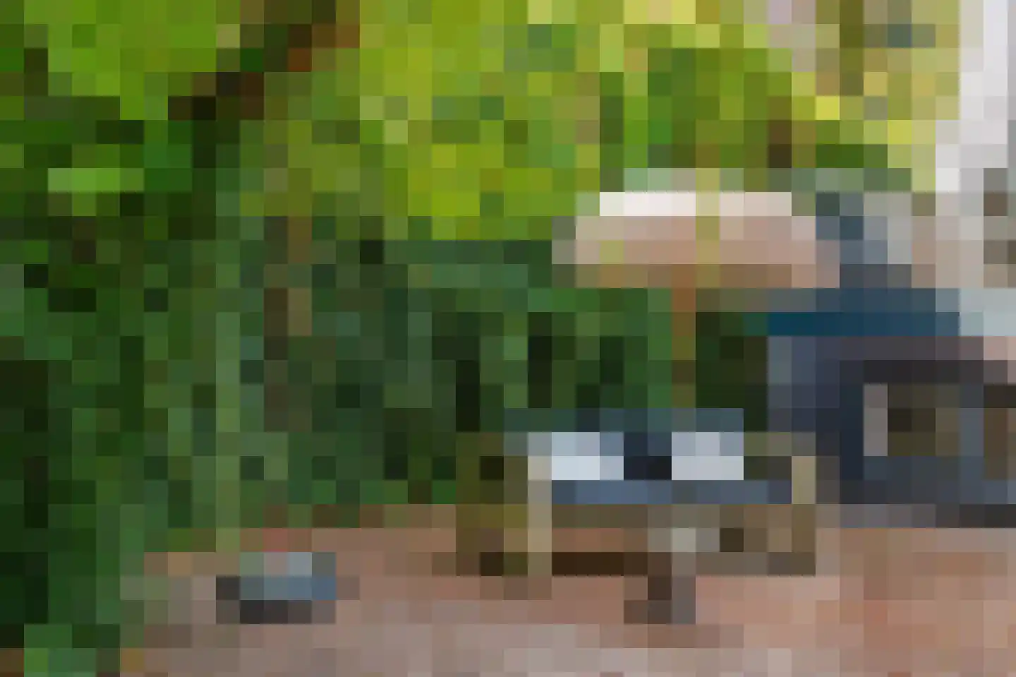 Oude Schulpweg 20 Z Egmond-Binnen thumbnail 16