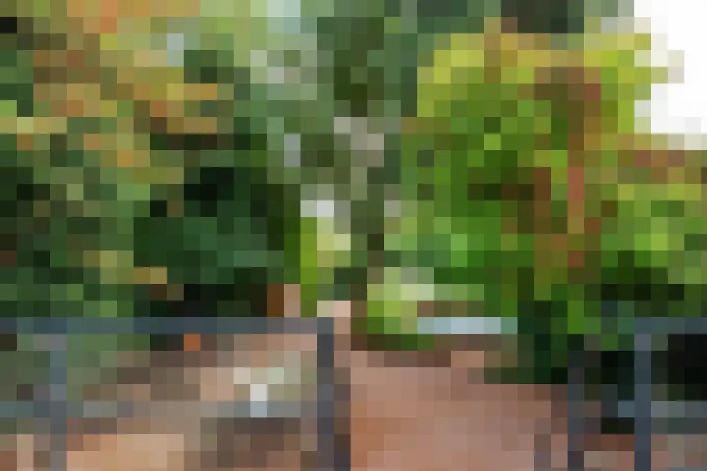 Oude Schulpweg 20 Z Egmond-Binnen thumbnail 17