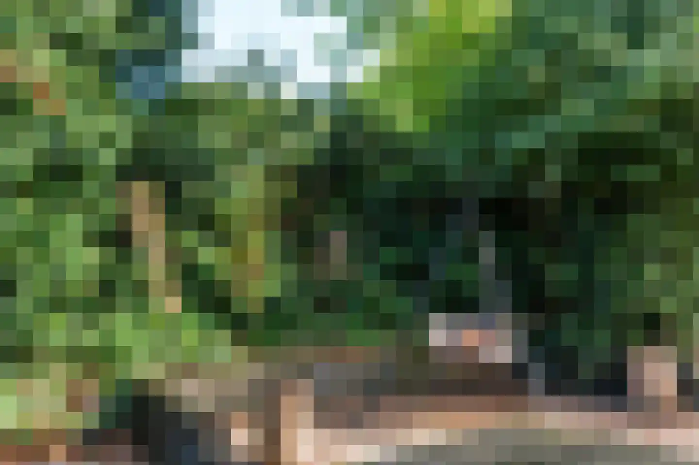 Oude Schulpweg 20 Z Egmond-Binnen thumbnail 18