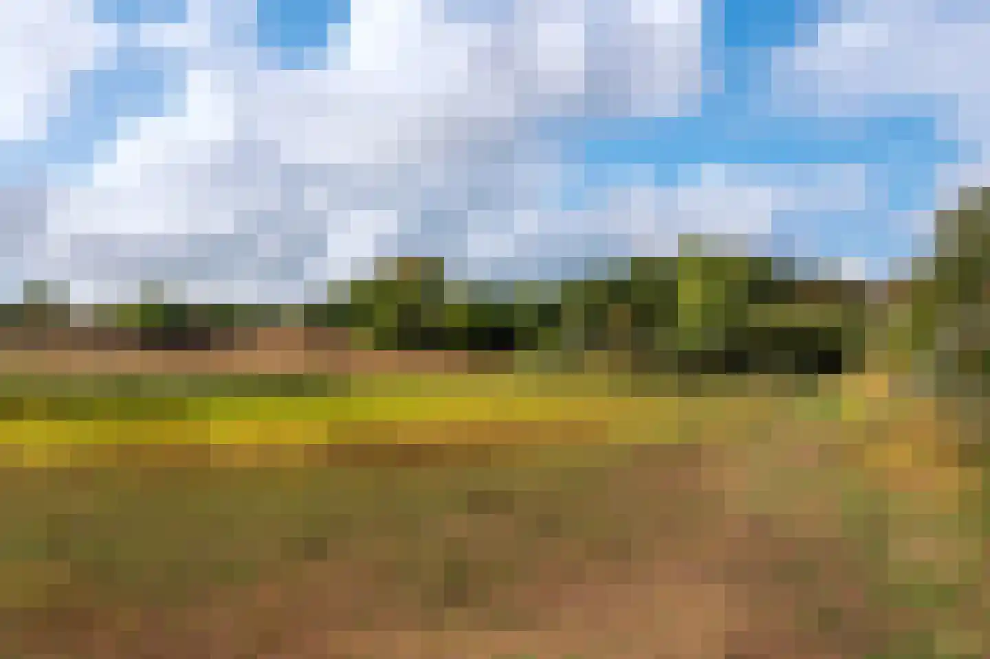 Oude Schulpweg 20 Z Egmond-Binnen thumbnail 19