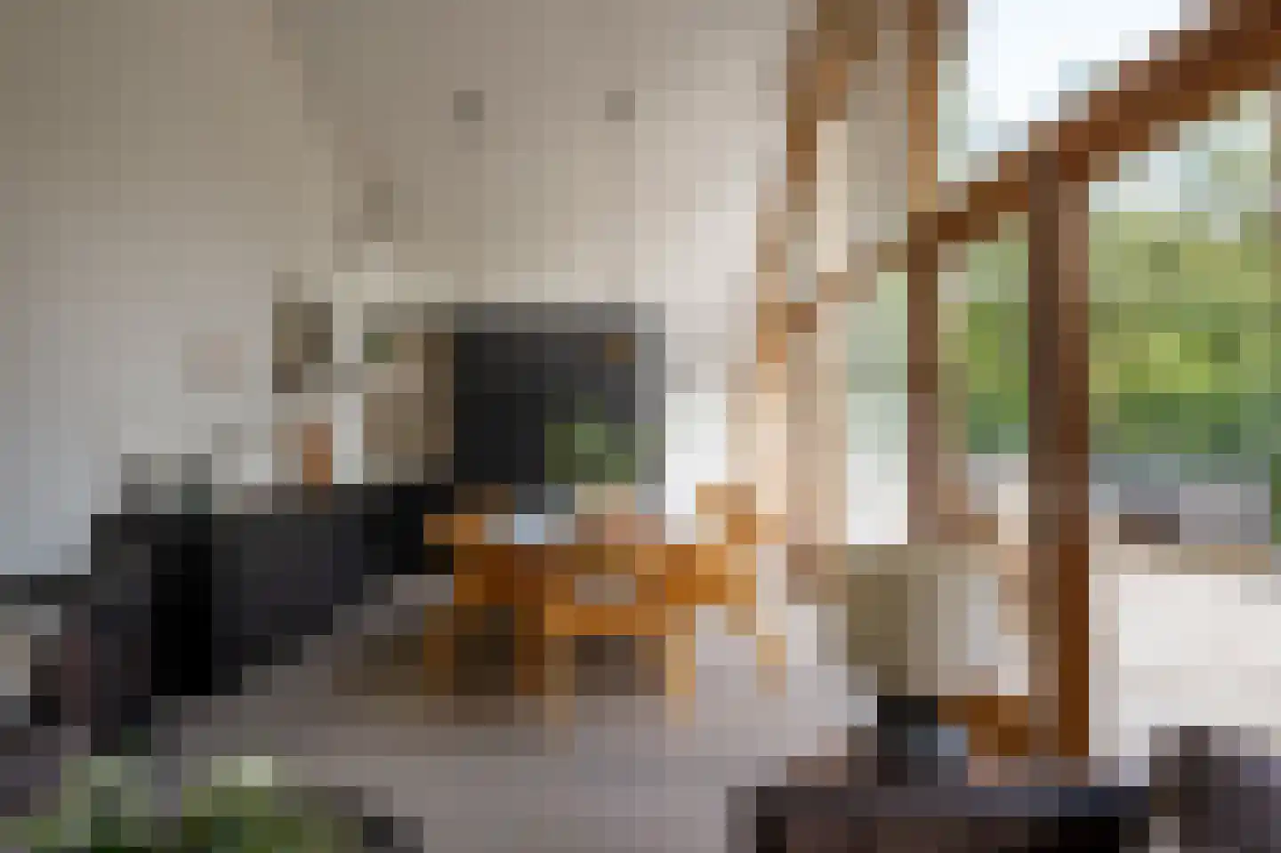 Oude Schulpweg 20 Z Egmond-Binnen thumbnail 8