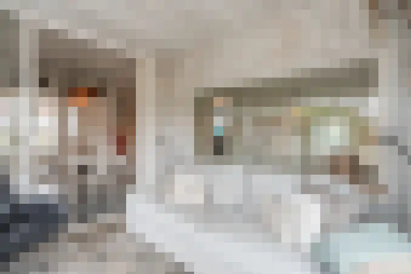 Oude Schulpweg 5 Egmond-Binnen thumbnail 12