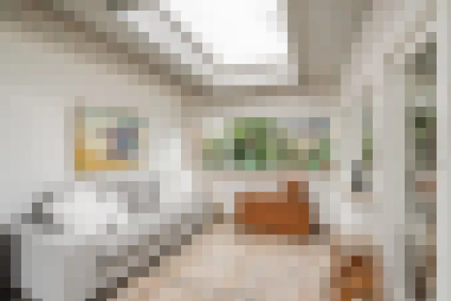 Oude Schulpweg 5 Egmond-Binnen thumbnail 29