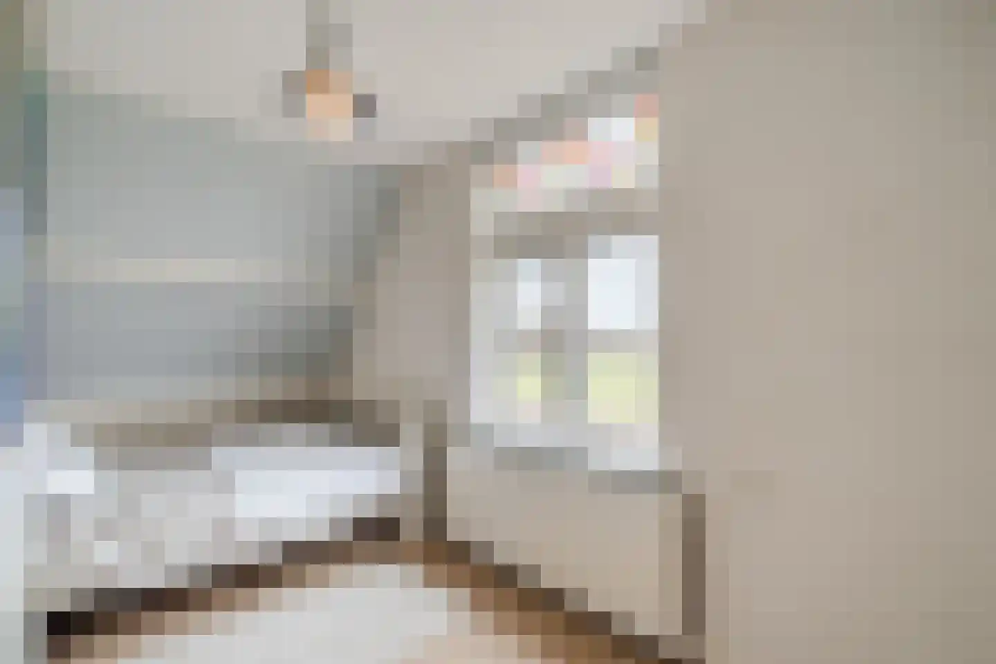 Oude Schulpweg 5 Egmond-Binnen thumbnail 35