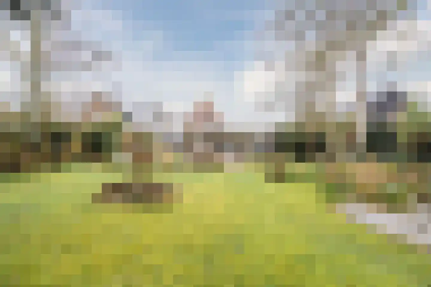 Oude Schulpweg 5 Egmond-Binnen thumbnail 38