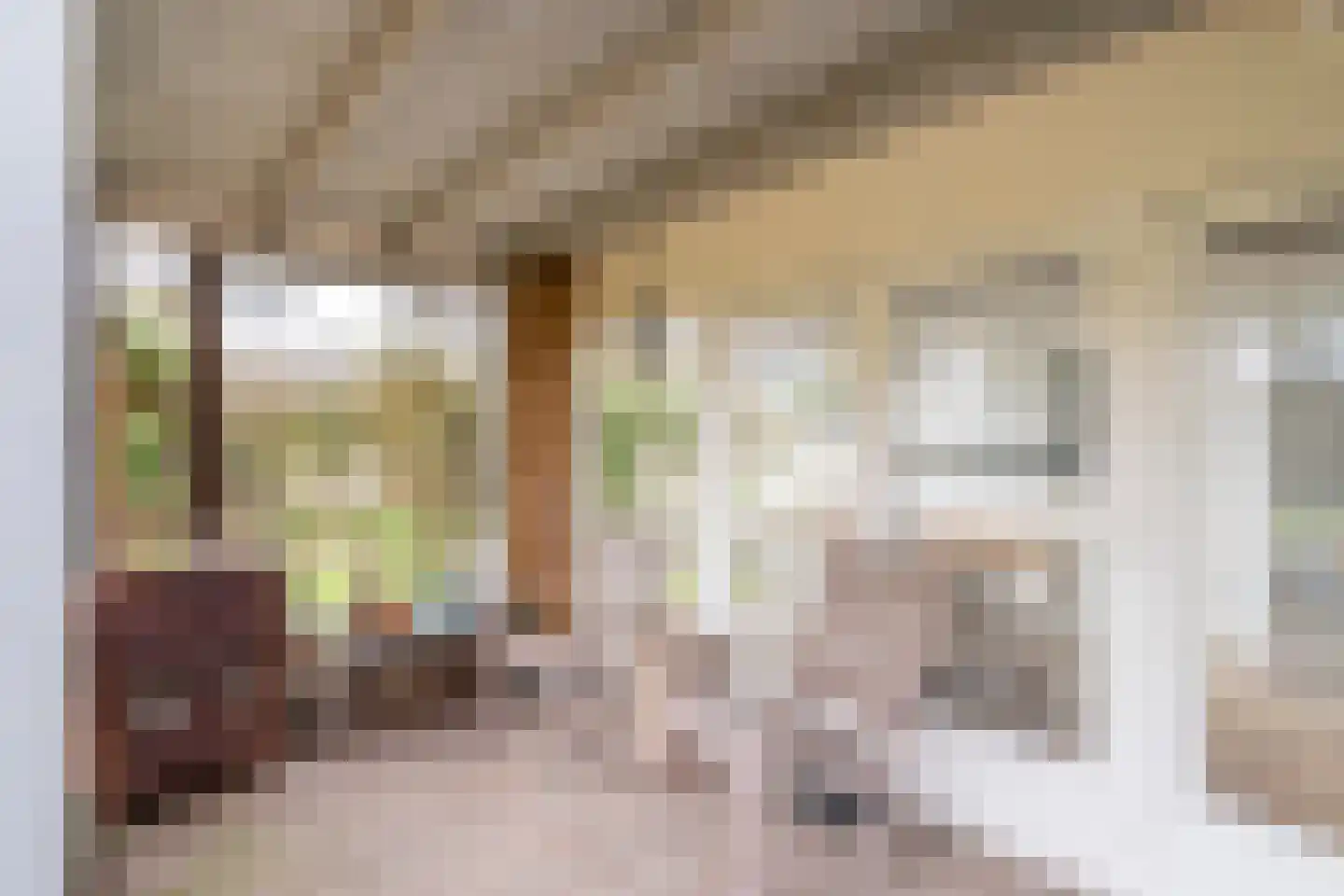Oude Schulpweg 5 Egmond-Binnen thumbnail 41