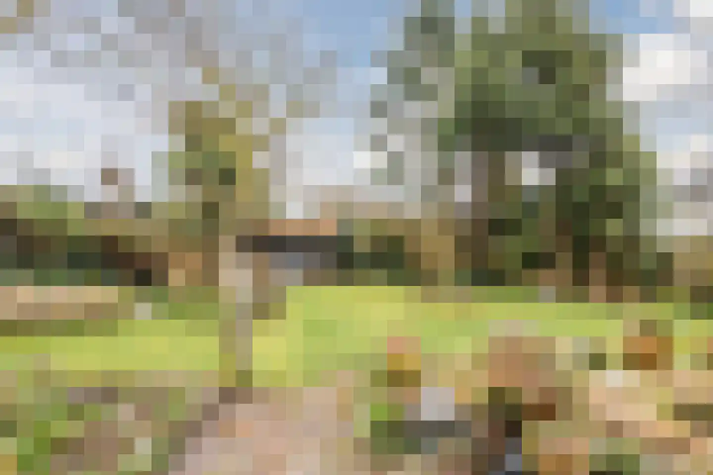 Oude Schulpweg 5 Egmond-Binnen thumbnail 42